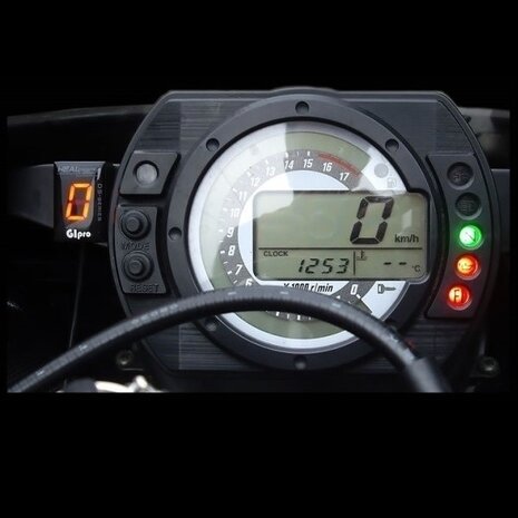 Gipro DS Gear Indicator / Triumph